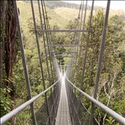 Picture Of Swing Bridge Waiohine Gorge Carterton New Zealand
